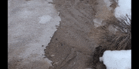 Snow Education GIF by DIIMSA Stock