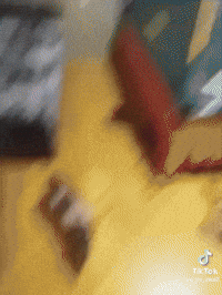 Gile GIF