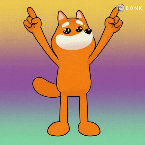 Coins Catching GIF by BONK