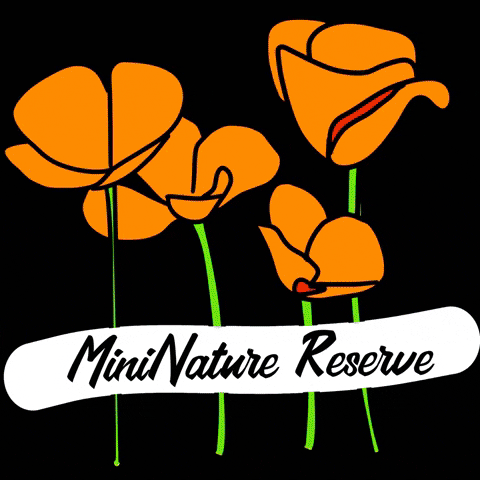 California Native Plants GIF by MiniNature Reserve