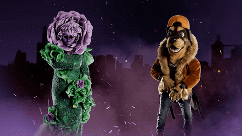 Fox GIF by The Masked Singer