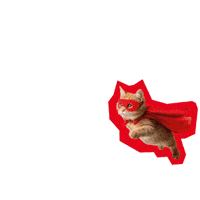 Cat Hero GIF by Deutscher Gewerkschaftsbund (DGB)