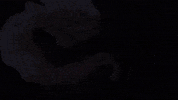 One Piece Loki GIF