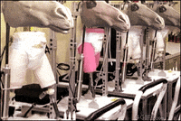 agent m GIF by Agent M Loves Gifs
