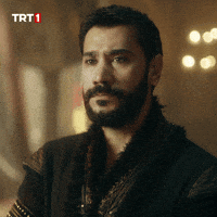 Dizi Tamam GIF by TRT