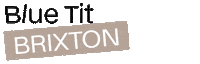 Brixton Sticker by Blue Tit London
