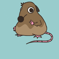 Im Out Not Me GIF