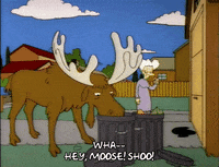 Season 4 GIF by The Simpsons