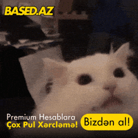 Based GIF