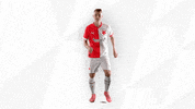 Football Soccer GIF by SK Slavia Praha