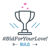 Bulqwholesale Sticker by BULQ