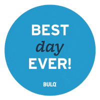 BULQ bulq bulqwholesale bulqhulq bulqunboxed Sticker