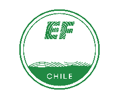 Explore Lets Go Sticker by EF Education First