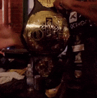 Double Champion GIF