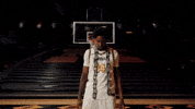 Ncaa Basketball GIF by Mizzou Athletics