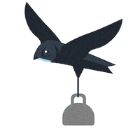 Swift Bird Sticker by RSPB