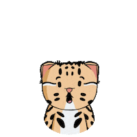 University Wtf Sticker by UNIVA Campus Guadalajara