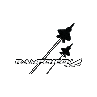 Air Force Sticker by RampCheckGlobal