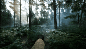 Dinosaur GIF by PBS