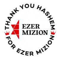 ezermizion ezermizion ezerfireworks Sticker