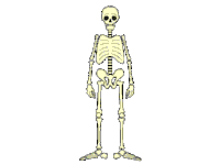 dead dance STICKER