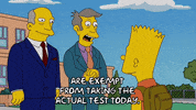 bart simpson superintendent chalmers GIF
