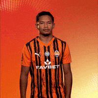 Football Celebration GIF by FC Shakhtar