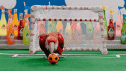 Jarritos sports soccer goal futbol GIF
