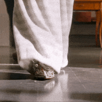 Sexy On My Way GIF by Blake Lively Fan