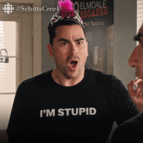 Schitt's Creek gif. Wearing a "Bride to be" tiara and a shirt that says "I'm stupid", Dan Levy as David gives us an excited yell. Text, "Oh my god!"