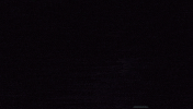 michael jones wtf GIF by Rooster Teeth