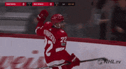 Happy Ice Hockey GIF by NHL