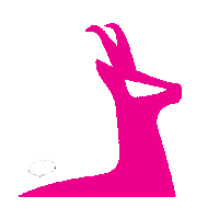 autohausscheichl pink skg gams badischl Sticker