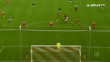 football soccer GIF by VfL Wolfsburg