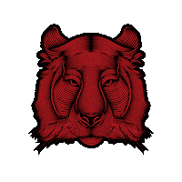 Lunar New Year Tiger Sticker by Chadstone The Fashion Capital