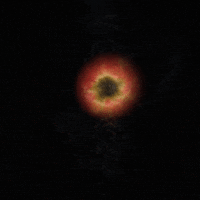 karascuro apple swirl scans kara zona GIF