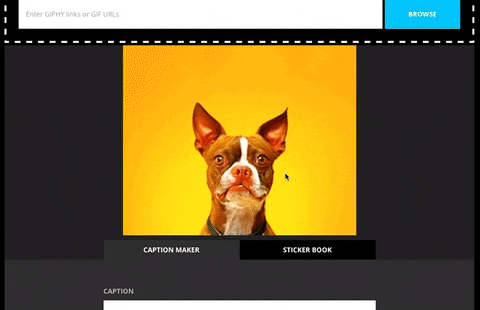 GIF by How To Giphy