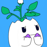 No Way Do Not Want GIF by Magic Eden