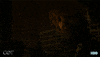 sad season 8 GIF by Game of Thrones