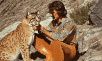 Wild Cat GIF by Jukebox Saints