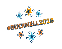 Stars Bounce Sticker by Bucknell University