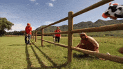 KipuRanchAdventures fun travel adventure ride GIF