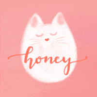 Cat Love GIF