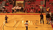 setonhilluniversity griffins seton hill seton hill university go griffins GIF