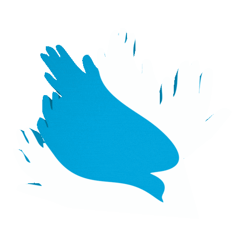 Fontecerrado Sticker by Ta na Fonte!