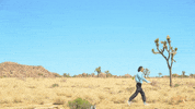Walk Landscape GIF by Bay Ledges