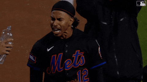 Celebrate Home Run GIF by New York Mets