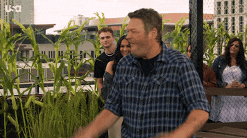 Sheriff GIF by USA Network
