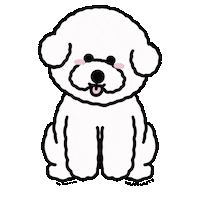 Bichon Sticker