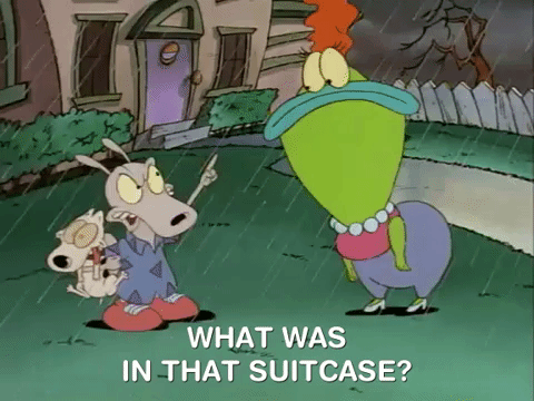 rockos modern life nicksplat GIF